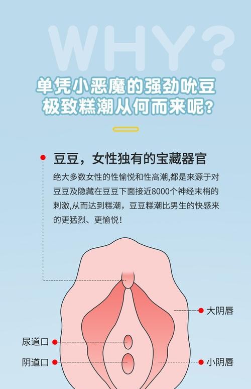 2023年最全跳蛋排名，让你轻松找到最适合的那一款！